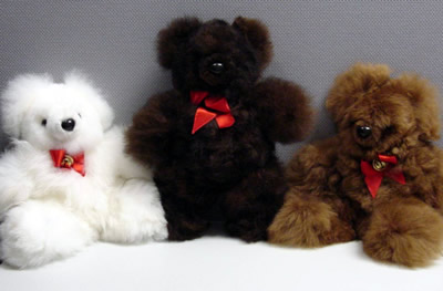 Picture of Recalled Bears