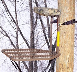 Picture of Recalled hunting tree 
stand