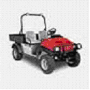 Picture of Recalled Rough Terrain Vehicle