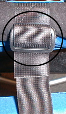 Picture of Strap and Buckle