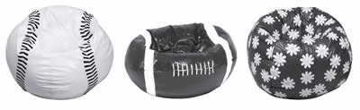 Picture of Recalled Beanbag Chairs