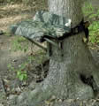 Treestand and Treeseat