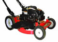Picture of recalled lawn mower